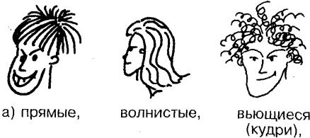 Самоучитель по развитию памяти (техника скоростного запоминания) Самоучитель по развитию памяти (техника скоростного запоминания)