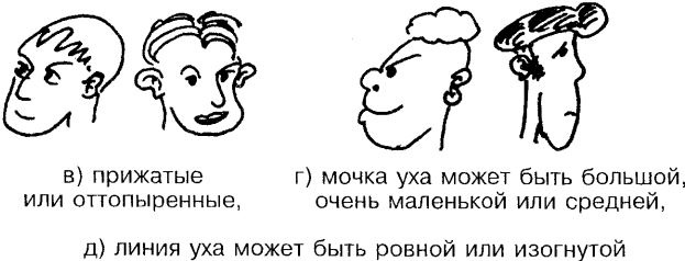 Самоучитель по развитию памяти (техника скоростного запоминания) Самоучитель по развитию памяти (техника скоростного запоминания)
