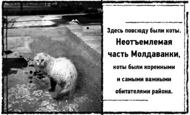 Тень «Райского сада» Тень «Райского сада»