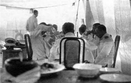 Линейные корабли типа “Иоанн Златоуст”. 1906-1919 гг. Линейные корабли типа “Иоанн Златоуст”. 1906-1919 гг.