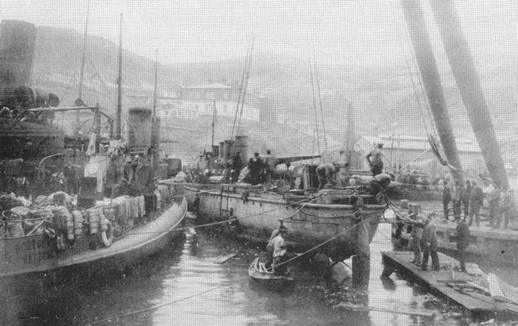Миноносцы Первой эскадры флота Тихого океана в русско-японской войне (1904-1905 гг.) Миноносцы Первой эскадры флота Тихого океана в русско-японской войне (1904-1905 гг.)