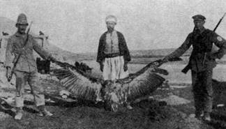 На линейном крейсере Гебен На линейном крейсере Гебен