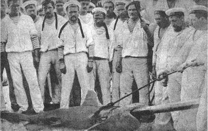 Корветы “Витязь” и “Рында”. 1882-1922 гг. Корветы “Витязь” и “Рында”. 1882-1922 гг.