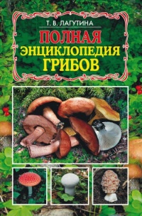 Полная энциклопедия грибов - Татьяна Лагутина - Читать книги онлайн | Слушать аудиокниги онлайн | Электронная библиотека books-lib.com