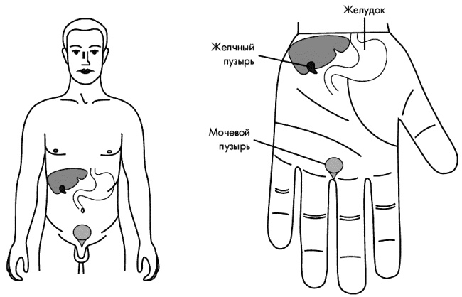 Су-Джок лечит. Мигрень, кашель, боль в спине, тяжесть в желудке Су-Джок лечит. Мигрень, кашель, боль в спине, тяжесть в желудке