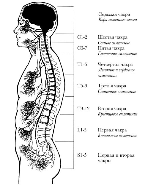 Чакры. Полная энциклопедия Чакры. Полная энциклопедия