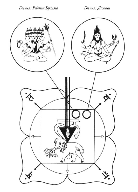Чакры. Полная энциклопедия Чакры. Полная энциклопедия