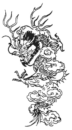 Фэн-шуй. Практические советы на каждый день Фэн-шуй. Практические советы на каждый день