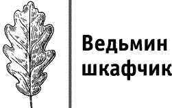 Круг Года. Викканские праздники, их атрибуты и значение Круг Года. Викканские праздники, их атрибуты и значение