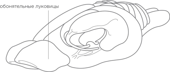 Биология добра и зла. Как наука объясняет наши поступки Биология добра и зла. Как наука объясняет наши поступки