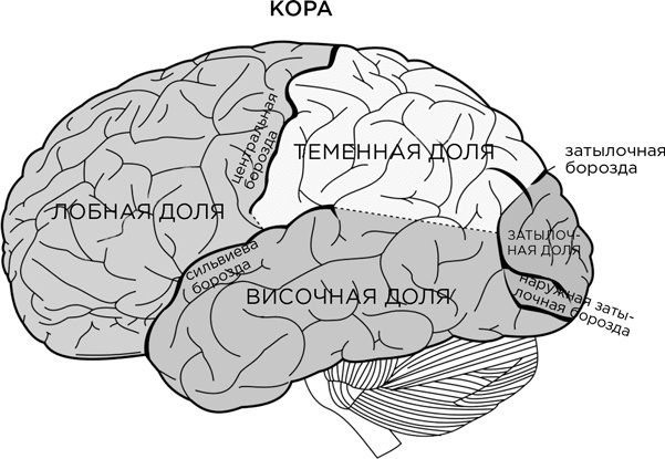 Биология добра и зла. Как наука объясняет наши поступки Биология добра и зла. Как наука объясняет наши поступки