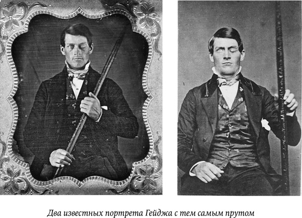 Биология добра и зла. Как наука объясняет наши поступки Биология добра и зла. Как наука объясняет наши поступки