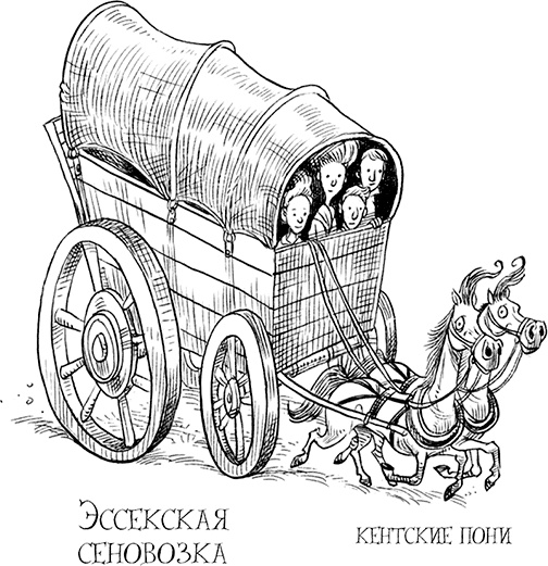 Юная леди Гот и роковая симфония Юная леди Гот и роковая симфония