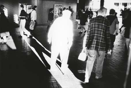 Живая цифра. Книга о цвете, или Как заставить дышать цифровую фотографию Живая цифра. Книга о цвете, или Как заставить дышать цифровую фотографию