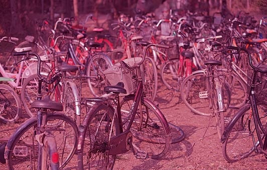 Живая цифра. Книга о цвете, или Как заставить дышать цифровую фотографию Живая цифра. Книга о цвете, или Как заставить дышать цифровую фотографию
