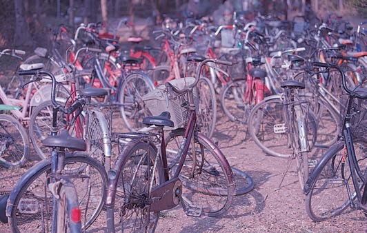 Живая цифра. Книга о цвете, или Как заставить дышать цифровую фотографию