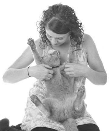 Как воспитать вашу кошку Как воспитать вашу кошку