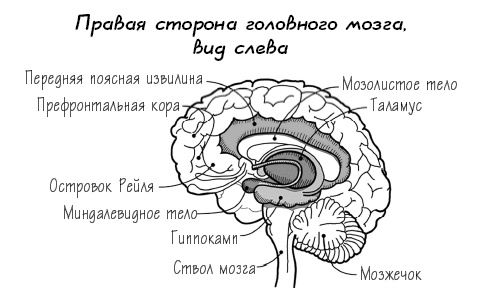 Вне зоны доступа. Как не потерять контакт с ребенком в переходном возрасте Вне зоны доступа. Как не потерять контакт с ребенком в переходном возрасте