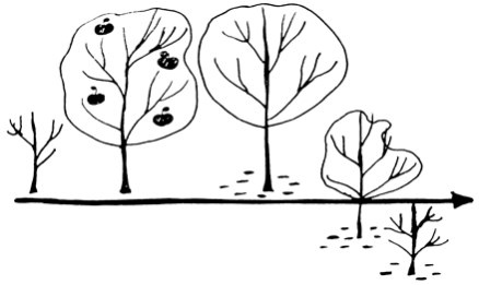 Сам себе финансист. Как тратить с умом и копить правильно