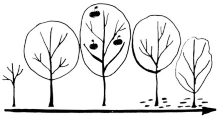 Сам себе финансист. Как тратить с умом и копить правильно