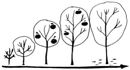 Сам себе финансист. Как тратить с умом и копить правильно