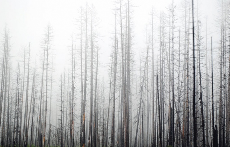 Гуру пьет бурбон? Гуру пьет бурбон?