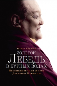 Золотой лебедь в бурных водах. Необыкновенная жизнь Десятого Кармапы - Шамар Ринпоче - Читать книги онлайн | Слушать аудиокниги онлайн | Электронная библиотека books-lib.com