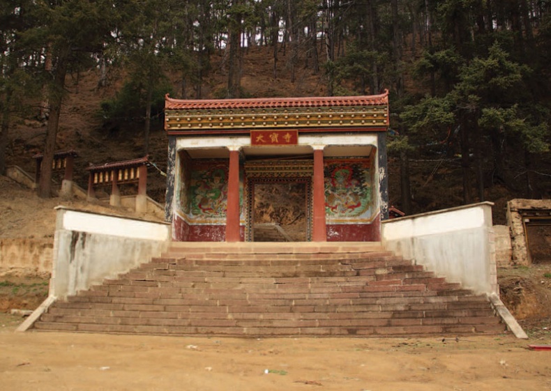 Золотой лебедь в бурных водах. Необыкновенная жизнь Десятого Кармапы Золотой лебедь в бурных водах. Необыкновенная жизнь Десятого Кармапы