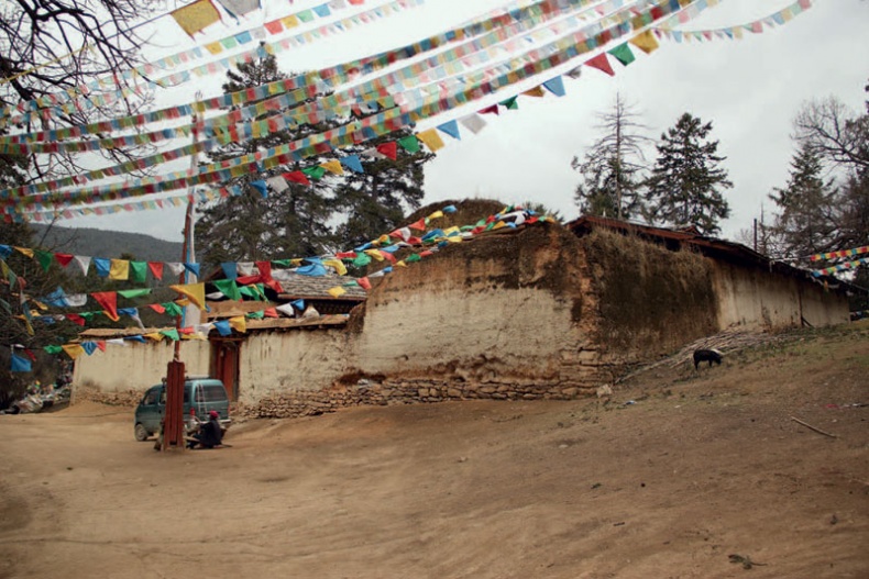 Золотой лебедь в бурных водах. Необыкновенная жизнь Десятого Кармапы Золотой лебедь в бурных водах. Необыкновенная жизнь Десятого Кармапы