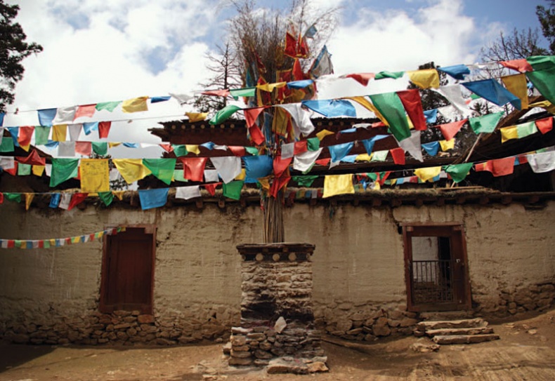 Золотой лебедь в бурных водах. Необыкновенная жизнь Десятого Кармапы Золотой лебедь в бурных водах. Необыкновенная жизнь Десятого Кармапы