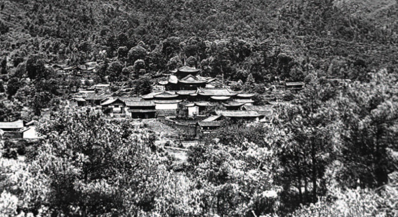 Золотой лебедь в бурных водах. Необыкновенная жизнь Десятого Кармапы Золотой лебедь в бурных водах. Необыкновенная жизнь Десятого Кармапы