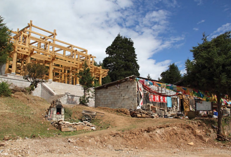 Золотой лебедь в бурных водах. Необыкновенная жизнь Десятого Кармапы Золотой лебедь в бурных водах. Необыкновенная жизнь Десятого Кармапы