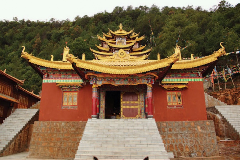 Золотой лебедь в бурных водах. Необыкновенная жизнь Десятого Кармапы Золотой лебедь в бурных водах. Необыкновенная жизнь Десятого Кармапы