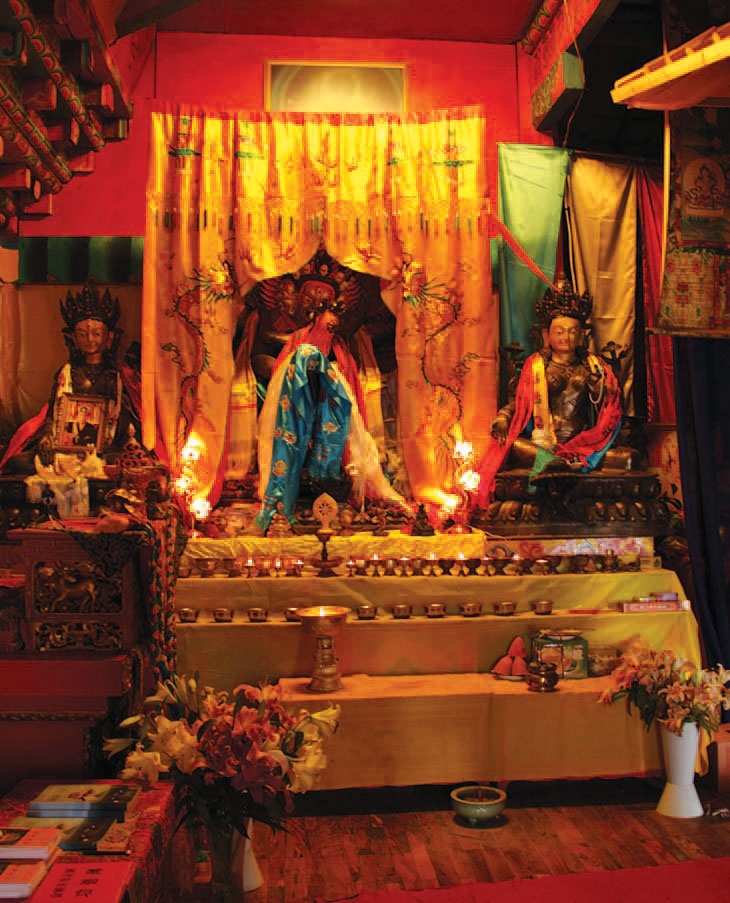 Золотой лебедь в бурных водах. Необыкновенная жизнь Десятого Кармапы Золотой лебедь в бурных водах. Необыкновенная жизнь Десятого Кармапы