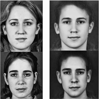 Любовь и секс. Как мы ими занимаемся. Прямой репортаж из научных лабораторий, изучающих человеческую сексуальность Любовь и секс. Как мы ими занимаемся. Прямой репортаж из научных лабораторий, изучающих человеческую сексуальность