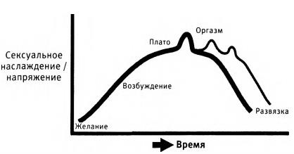 Любовь и секс. Как мы ими занимаемся. Прямой репортаж из научных лабораторий, изучающих человеческую сексуальность Любовь и секс. Как мы ими занимаемся. Прямой репортаж из научных лабораторий, изучающих человеческую сексуальность