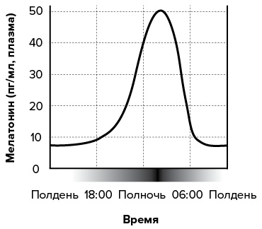 Зачем мы спим. Новая наука о сне и сновидениях Зачем мы спим. Новая наука о сне и сновидениях