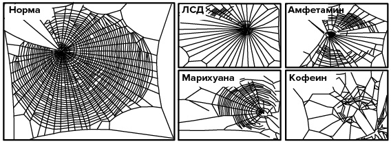 Зачем мы спим. Новая наука о сне и сновидениях Зачем мы спим. Новая наука о сне и сновидениях