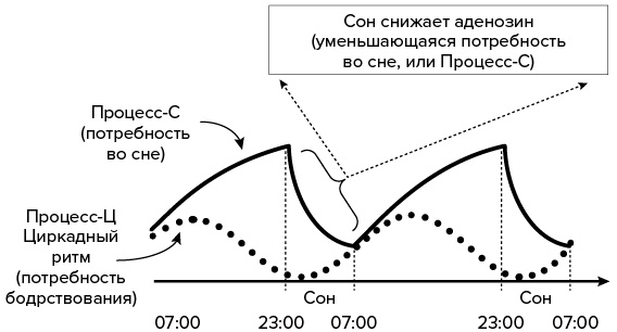 Зачем мы спим. Новая наука о сне и сновидениях Зачем мы спим. Новая наука о сне и сновидениях