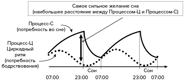 Зачем мы спим. Новая наука о сне и сновидениях Зачем мы спим. Новая наука о сне и сновидениях