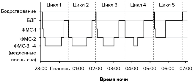 Зачем мы спим. Новая наука о сне и сновидениях Зачем мы спим. Новая наука о сне и сновидениях