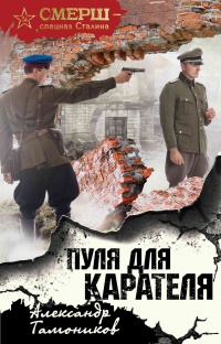 Пуля для карателя - Александр Тамоников - Читать книги онлайн | Слушать аудиокниги онлайн | Электронная библиотека books-lib.com