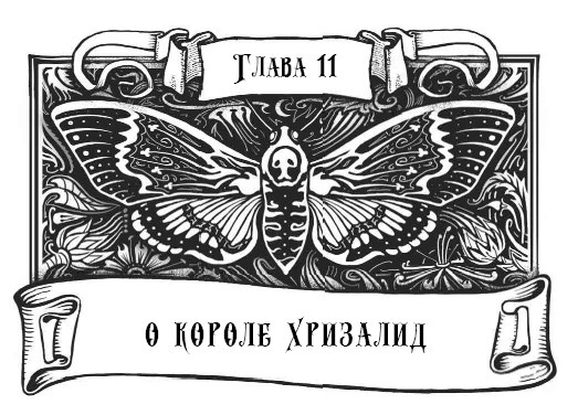 Миднайт. 1. Наместник ночи Миднайт. 1. Наместник ночи