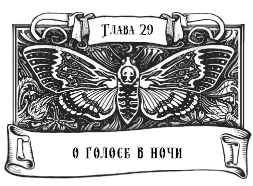 Миднайт. 1. Наместник ночи Миднайт. 1. Наместник ночи
