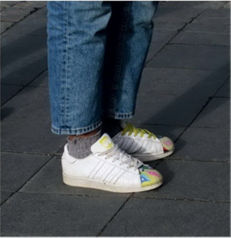 Кроссовки. Культурная биография спортивной обуви Кроссовки. Культурная биография спортивной обуви