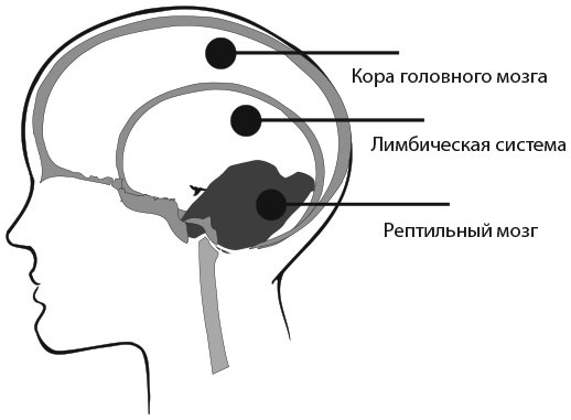 Сила эмоционального интеллекта. Как его развить для работы и жизни Сила эмоционального интеллекта. Как его развить для работы и жизни