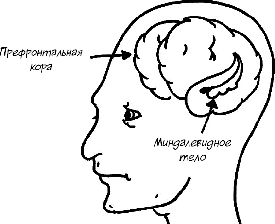 Формула Счастья. Ничего + кое-что = все Формула Счастья. Ничего + кое-что = все