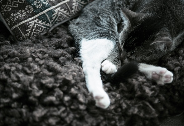 Книга hygge. Искусство жить здесь и сейчас Книга hygge. Искусство жить здесь и сейчас