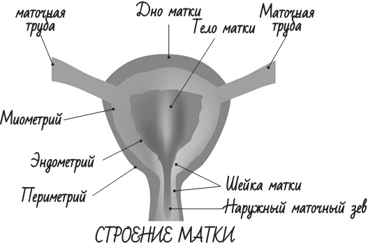 Project Woman. Тонкости настройки женского организма. Узнай, как работает твое тело Project Woman. Тонкости настройки женского организма. Узнай, как работает твое тело