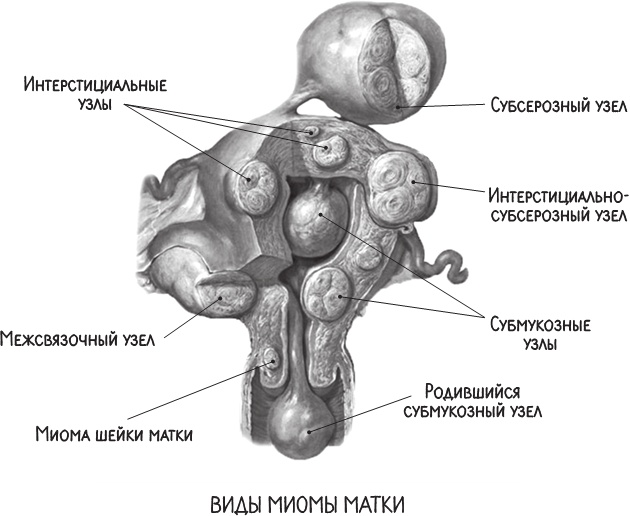Project Woman. Тонкости настройки женского организма. Узнай, как работает твое тело Project Woman. Тонкости настройки женского организма. Узнай, как работает твое тело
